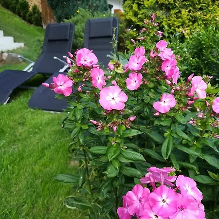 Apartments Kappl 아파트 *