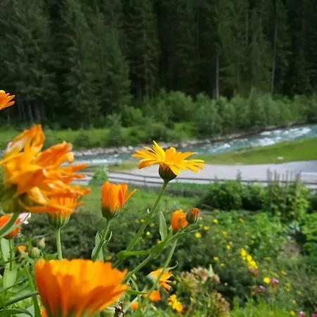 Apartments Kappl 아파트 카플